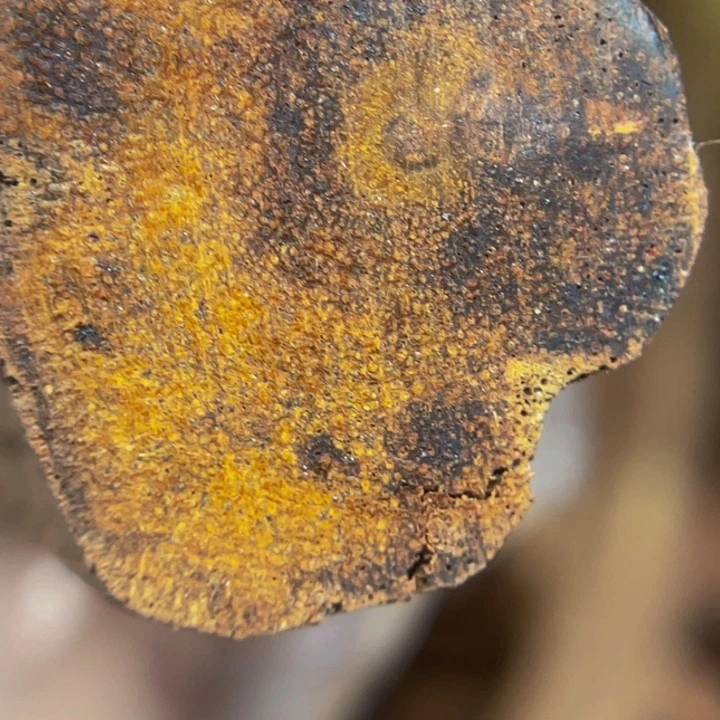 降真香手串/手链定制缅甸小叶降真香