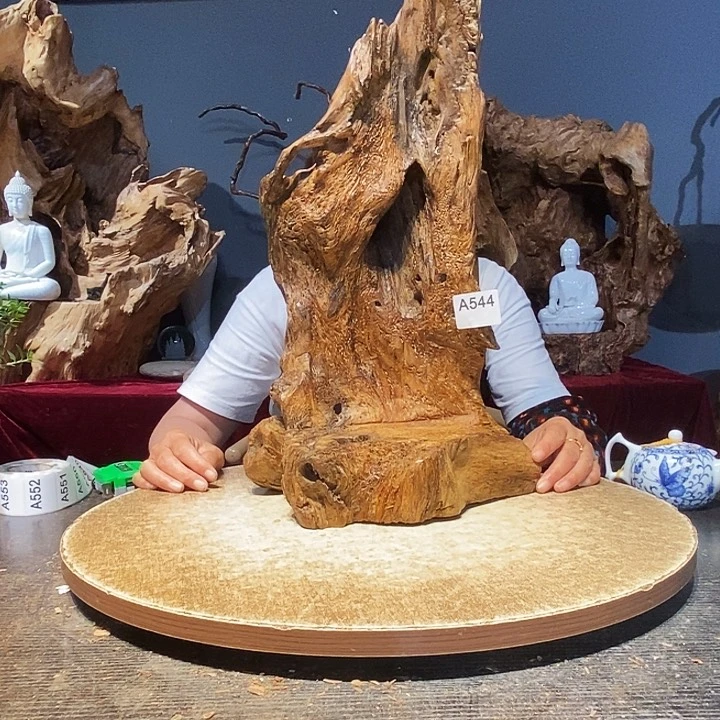 用****4544株木随行的小根艺