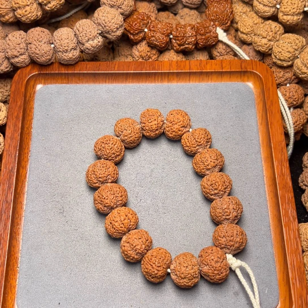 10号尼泊尔大金刚20五星蜂王菠萝蜜