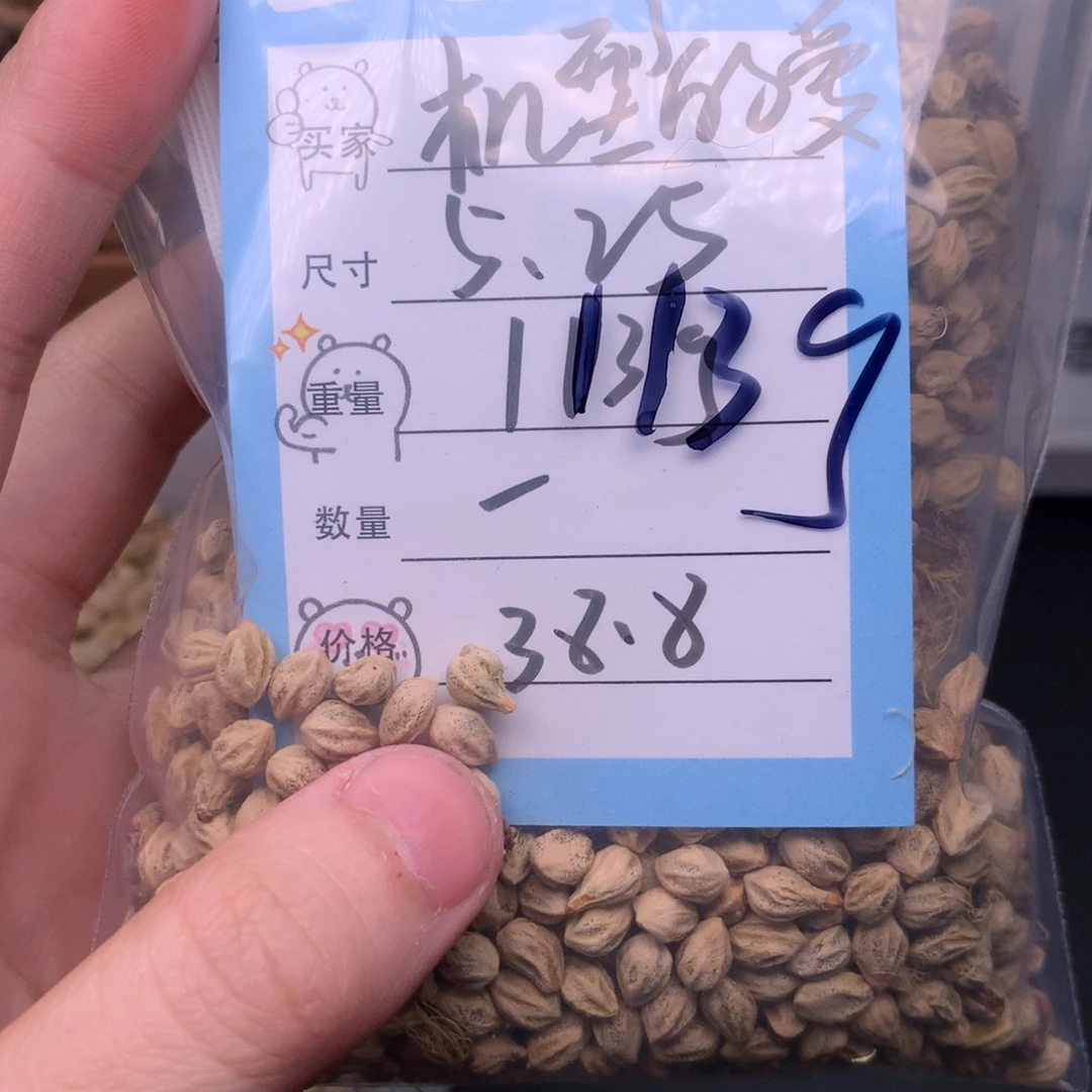 机***爱柏香籽/百香籽吊坠