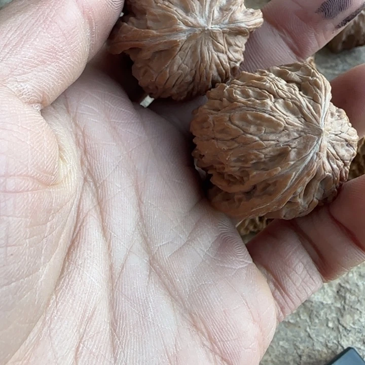 不***财把件文玩核桃磨盘