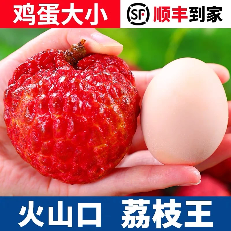 a【顺丰】海南荔枝王1-4斤新鲜水果当季火山口荔枝王