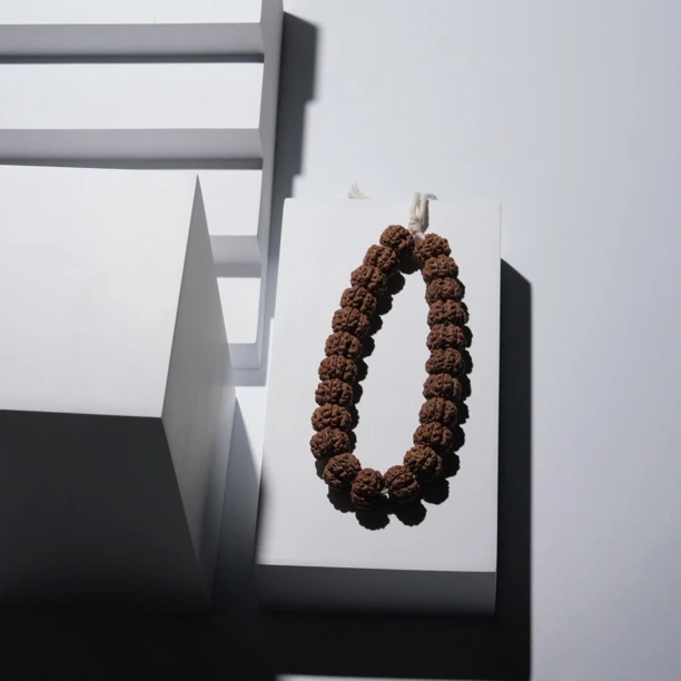 「星辰一号」头货梅花小金刚菩提手串