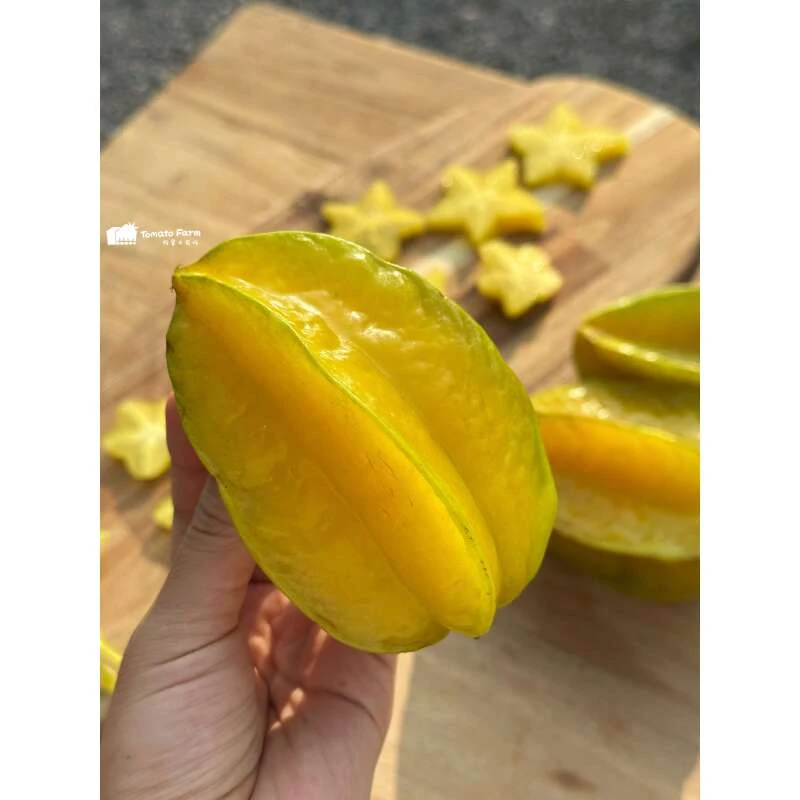 【星钻爆汁！】Carambola黄金翡翠星杨桃 自然熟合作生态种植顺丰