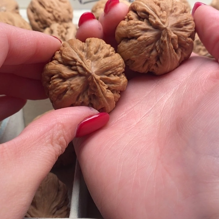 火***民霸王龙全品无修一刀没动