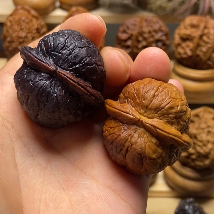 把件文玩核桃鹦鹉螺37