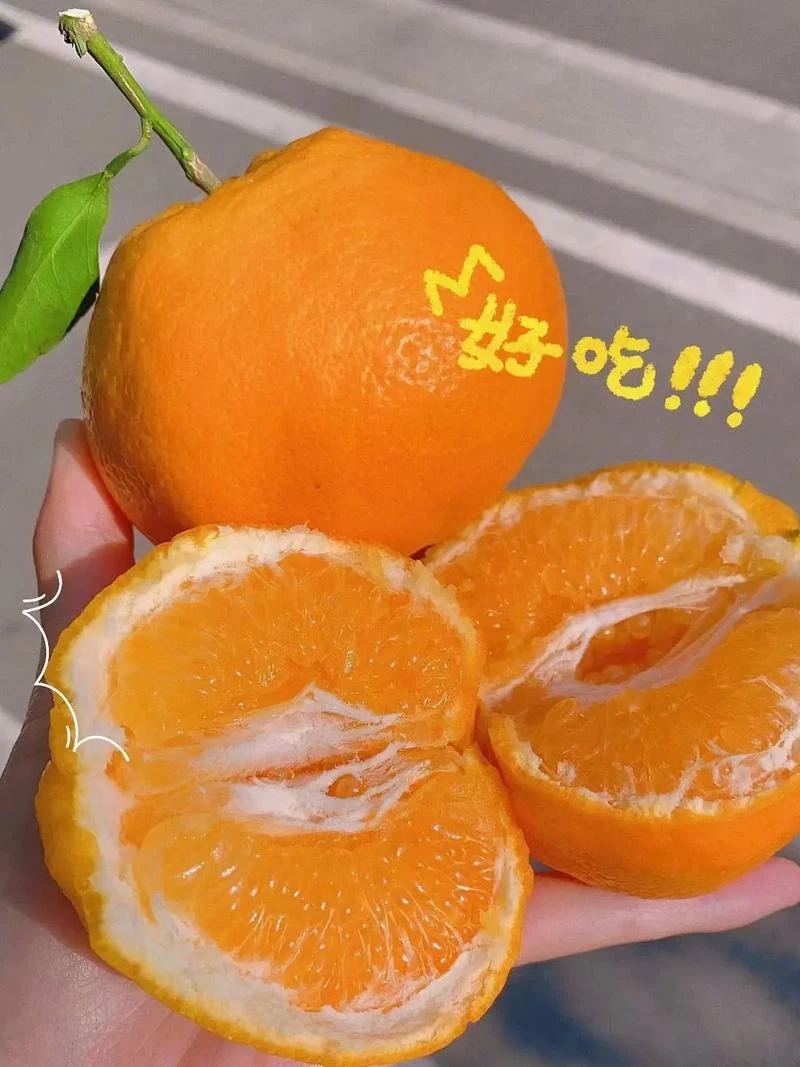 特甜丑橘耙耙柑500克