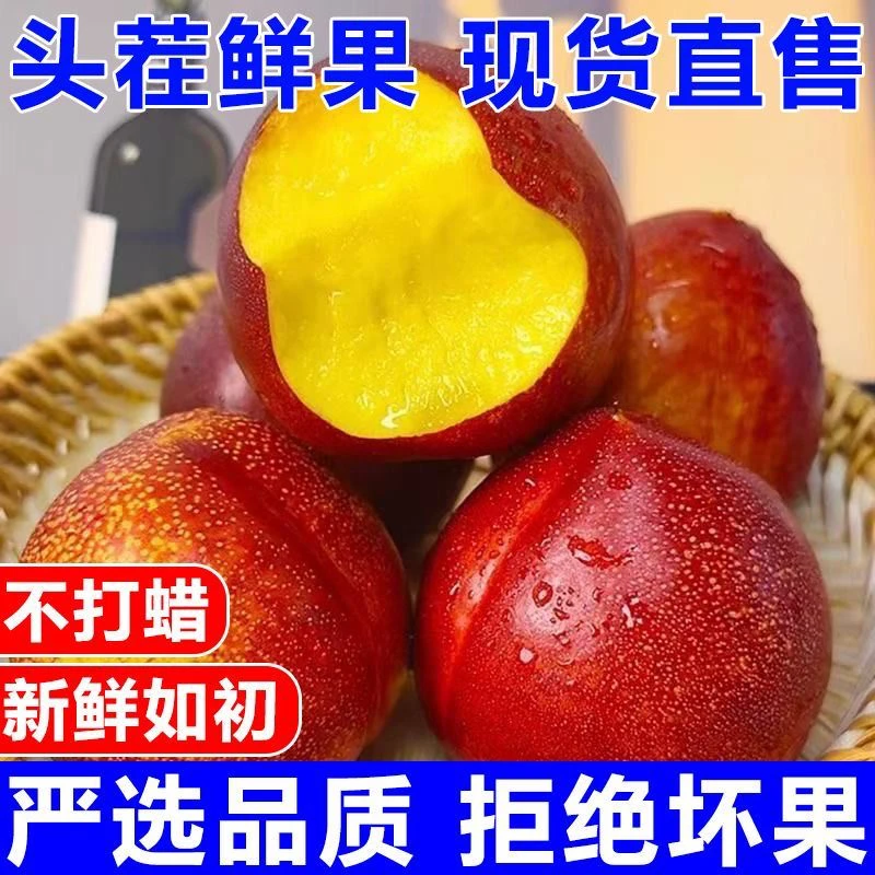 现摘现发头茬麻脸红皮黄心油桃脆面两吃新鲜水果
