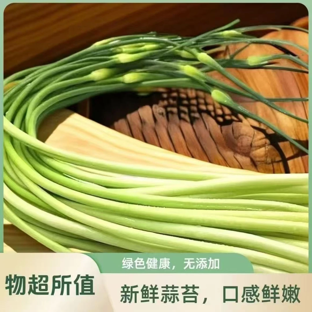 2025头茬新蒜苔农家自种白帽新鲜蒜苔现抽现发应季蔬菜爆品