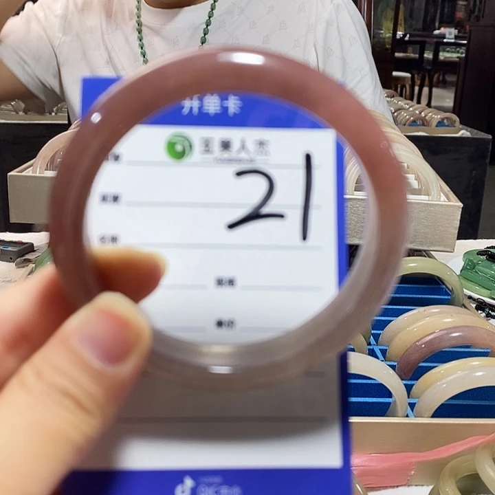 王***选密玉（石英质玉）未镶嵌颈饰