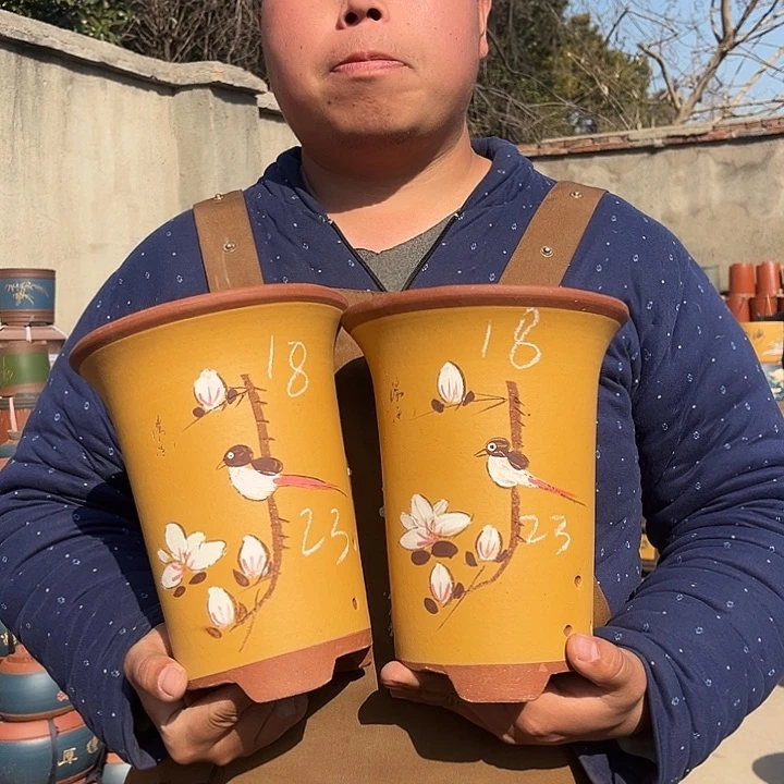 紫砂紫砂花盆盆栽