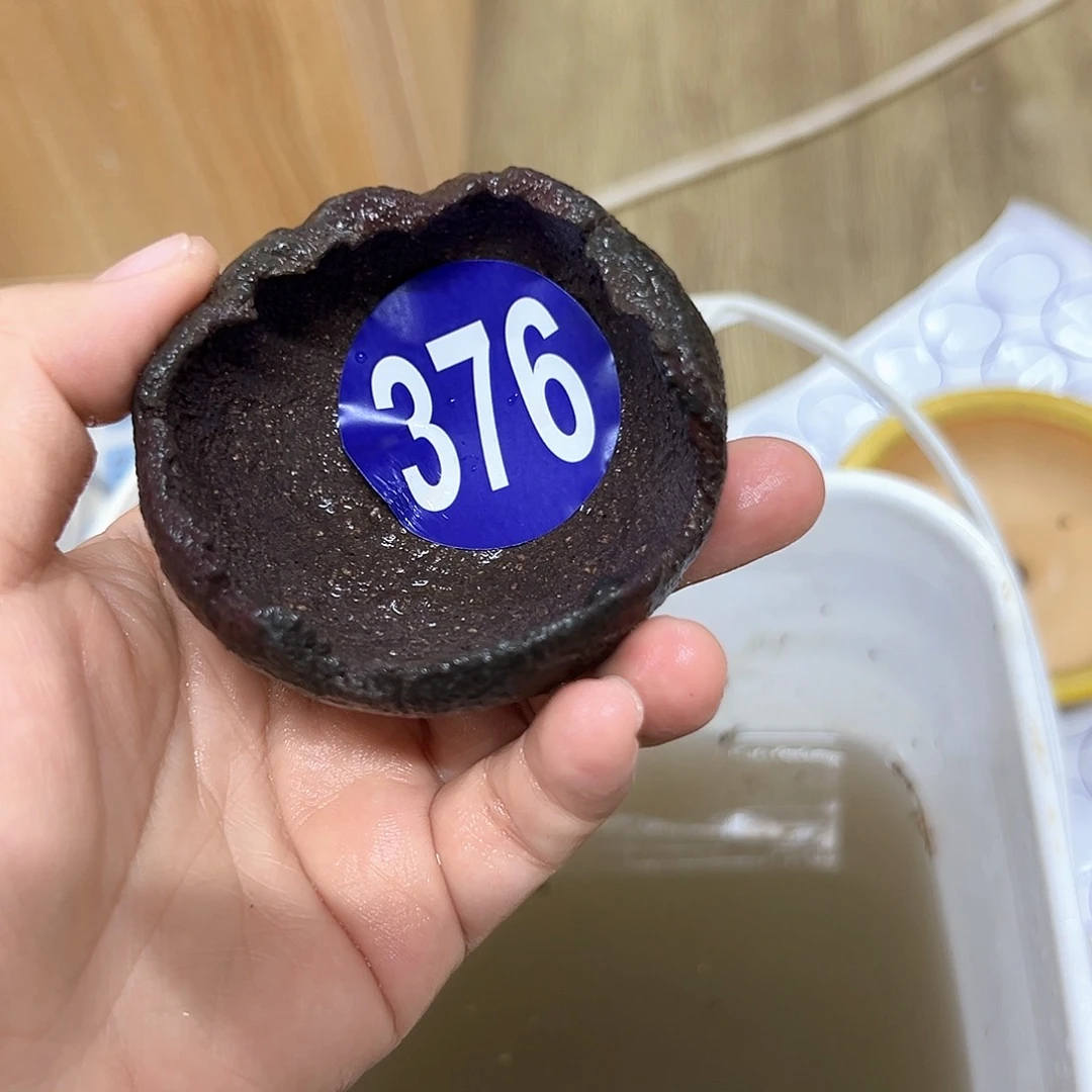 玉**段红红火火过大年376