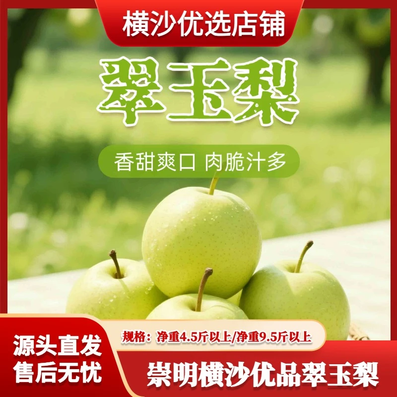 【崇明横沙优品翠玉梨】绿色食品A级新鲜水果超甜现摘毛重5斤/10斤