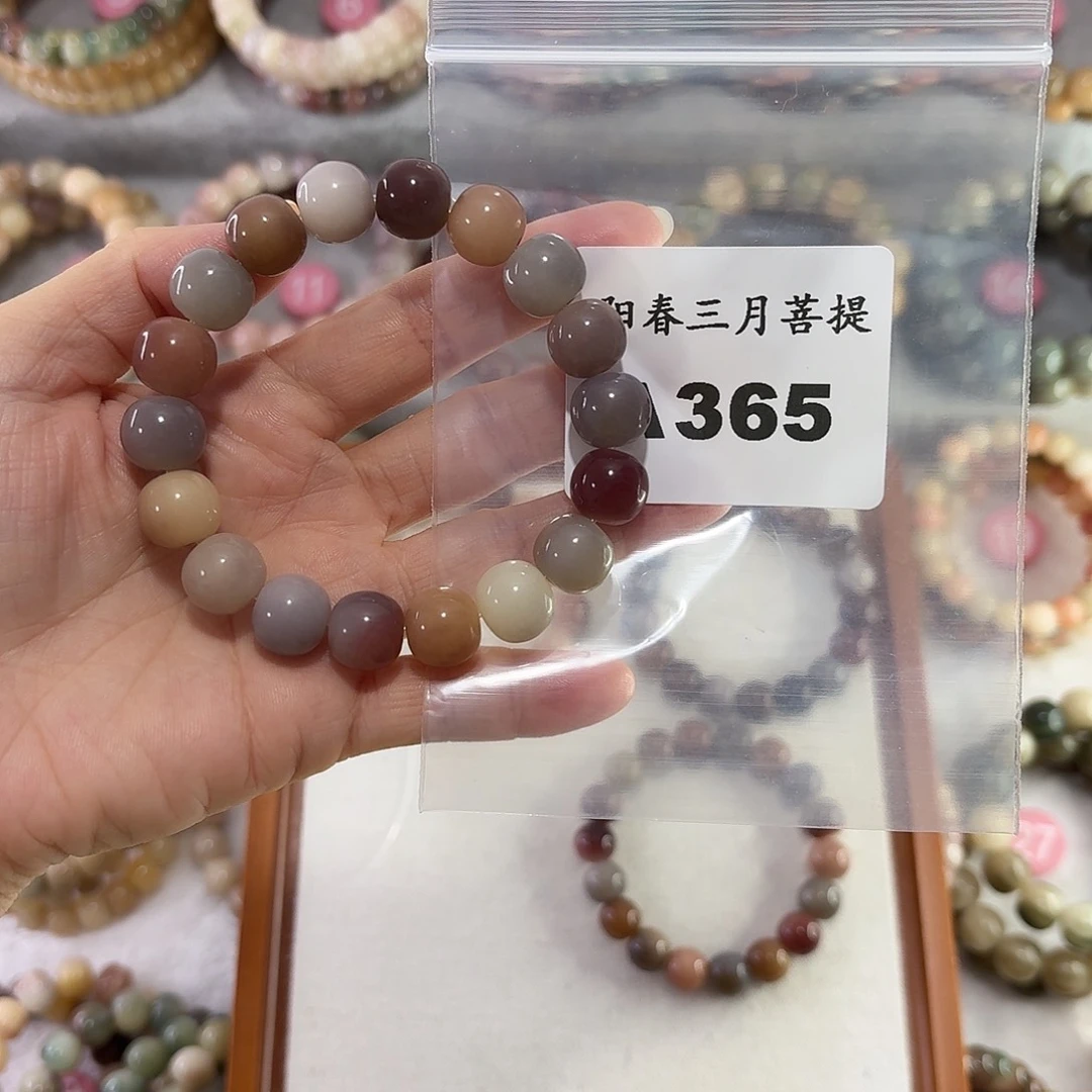 净***西菩提根/象牙果吊坠