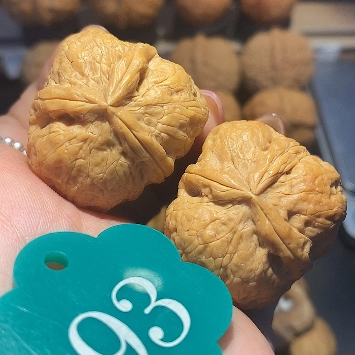 核桃金狮三棱尺寸35