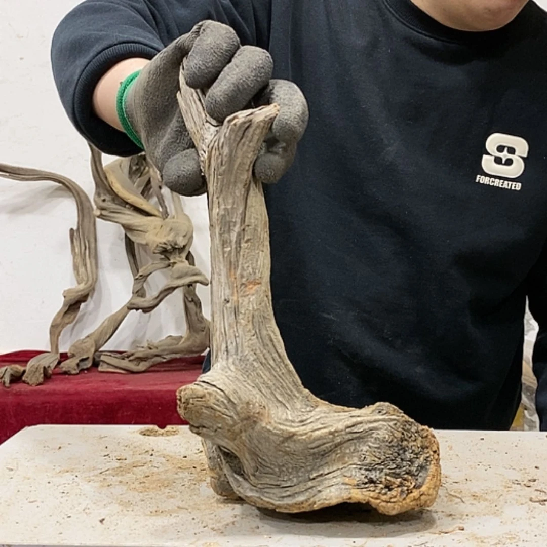 【闪购商品】柏木龙*我们都是好孩子