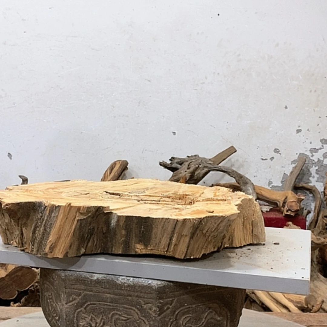 【闪购商品】柏木L*我们都是好孩子