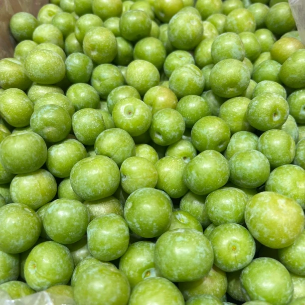 贵州【珍珠李子】脆李爽甜（29.8元一斤）