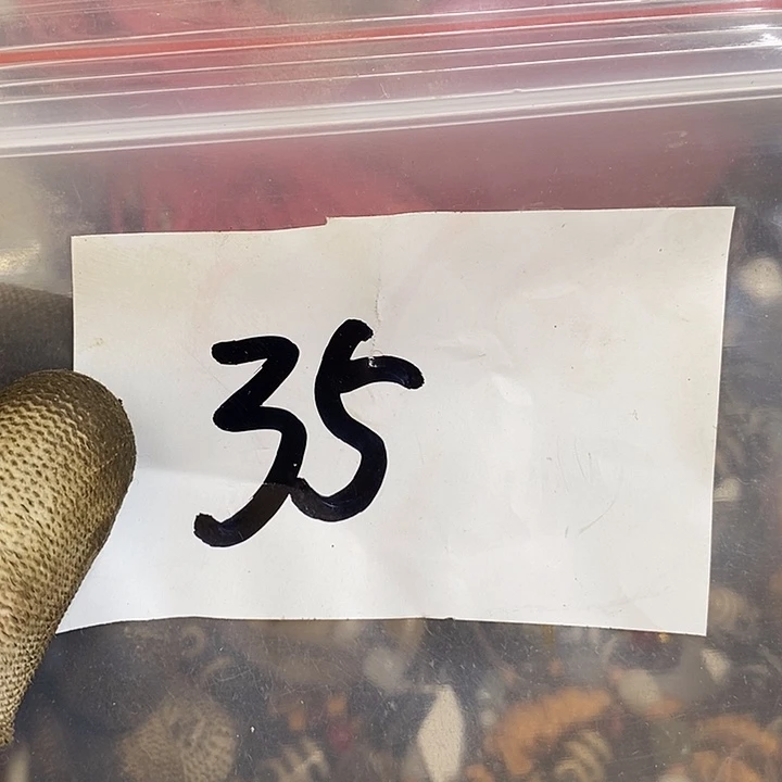 武***农最美古村专属链接