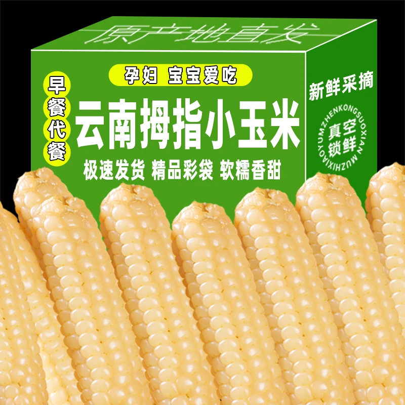 云南版纳拇指玉米香糯小玉米傣家甜黏手指玉米宝宝小玉米软糯香甜