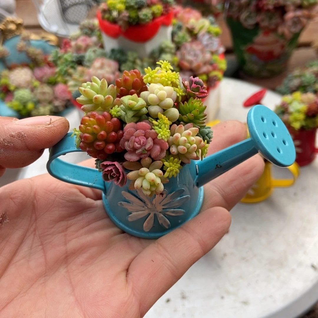 蓝色水壶好看的成品