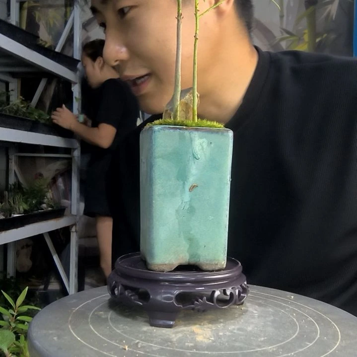 业*中青园艺一物一拍216