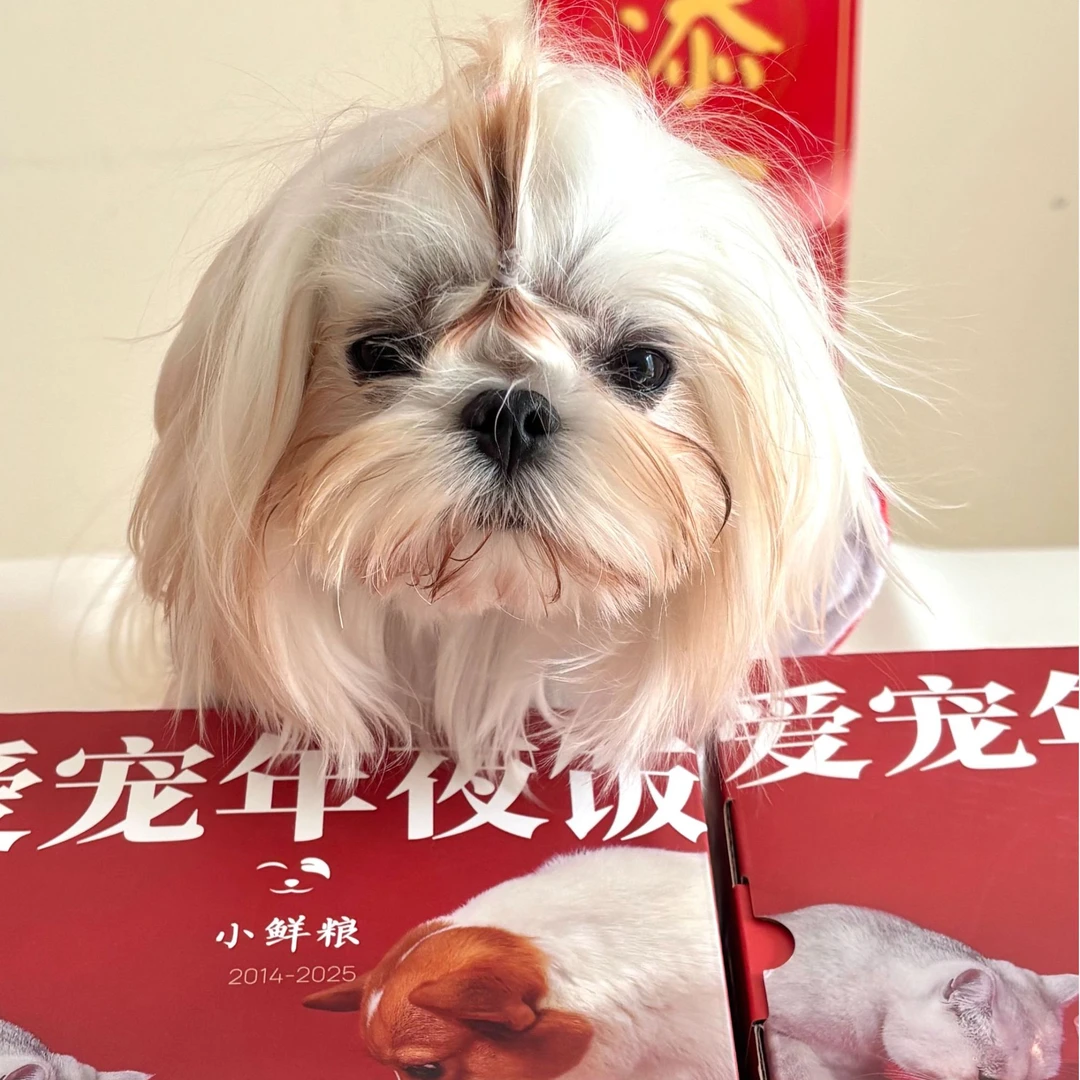 火宝认证小鲜粮2025猫狗通用爱宠年夜饭鸡肉饺子汤圆年糕