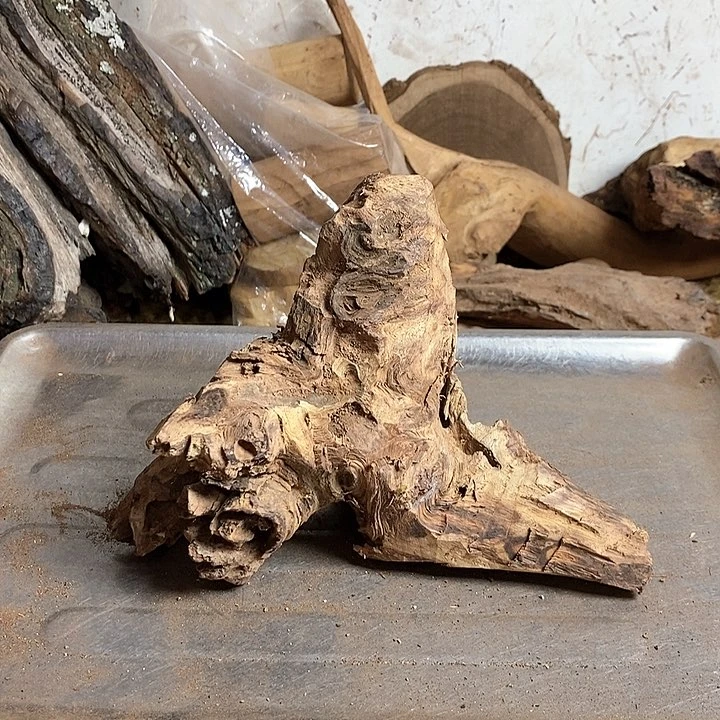 黄花梨/降香黄檀流****陸