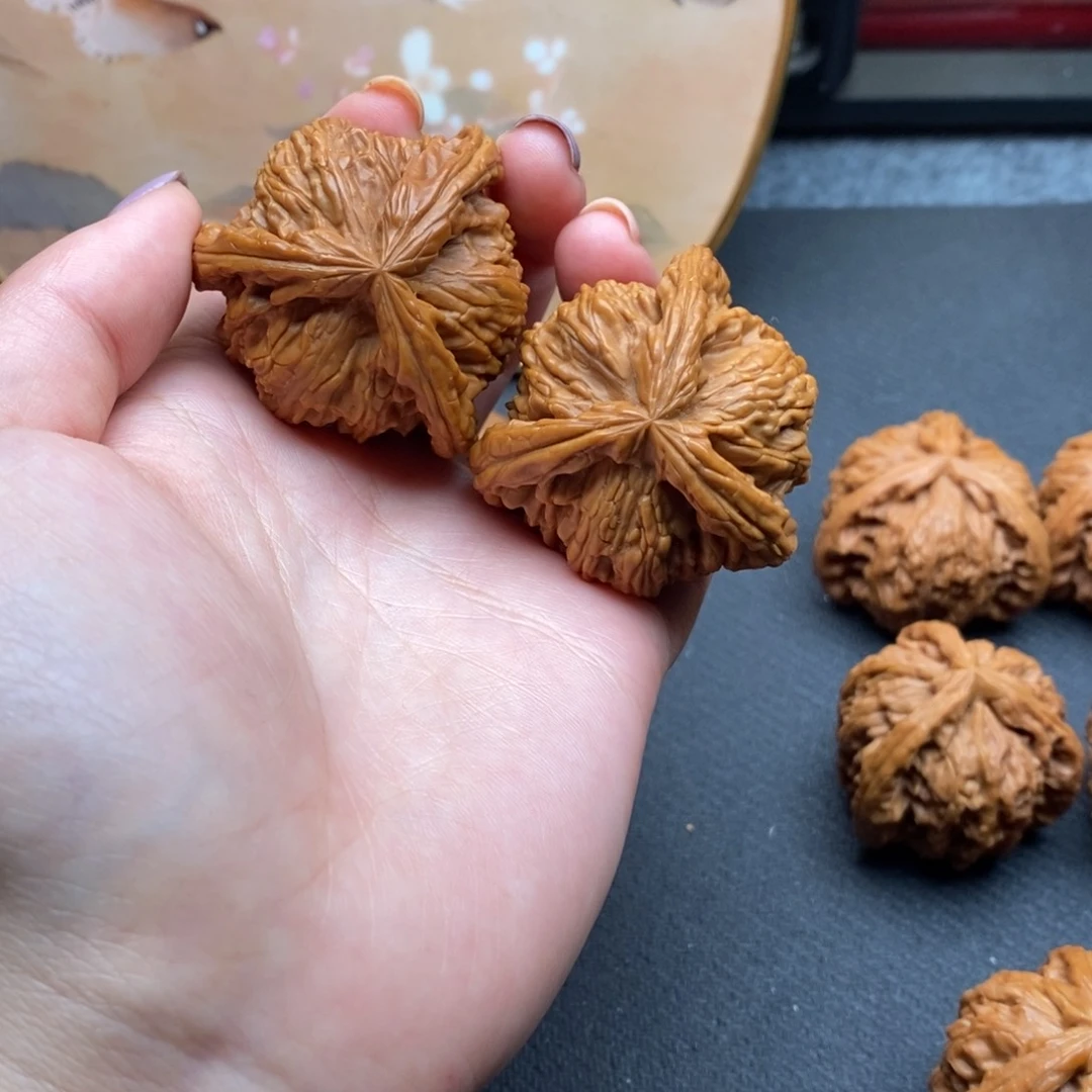 和*人白狮子11111111111