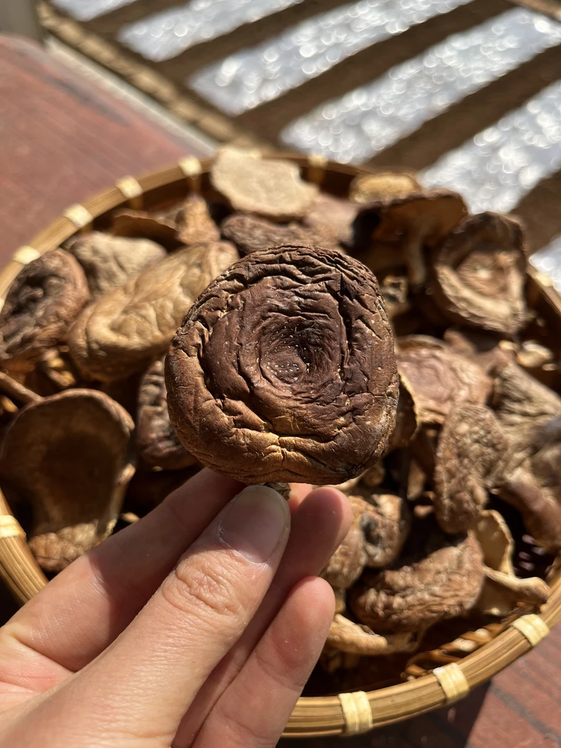 【拍1发2】云南高原山货土特产—小香菇香信菇100g