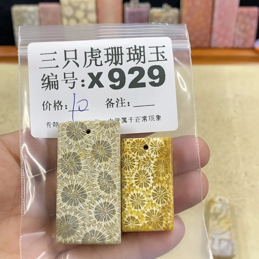 硅化珊瑚（珊瑚玉）1未镶嵌狮*喵