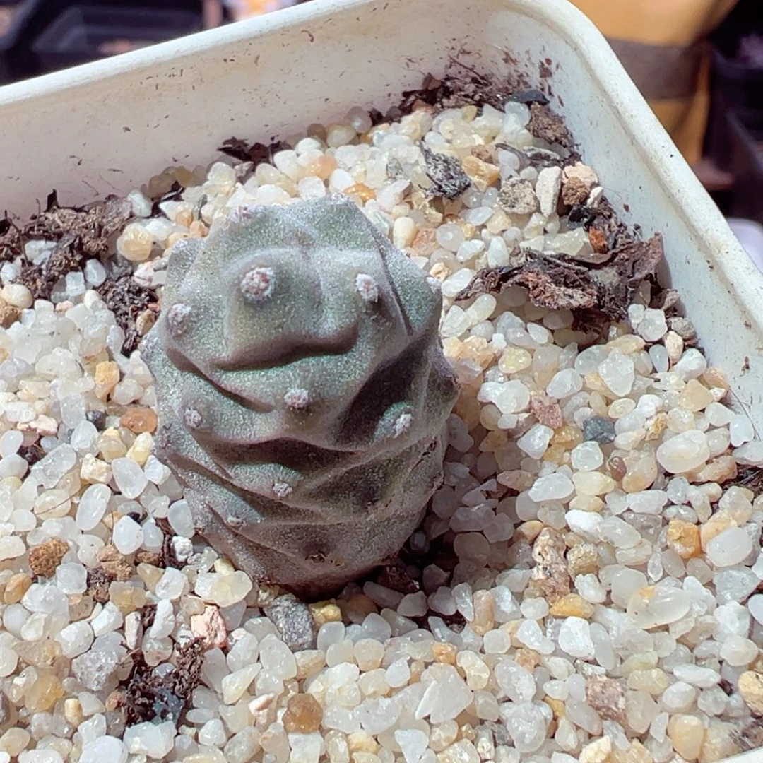 1128-844多人打扰