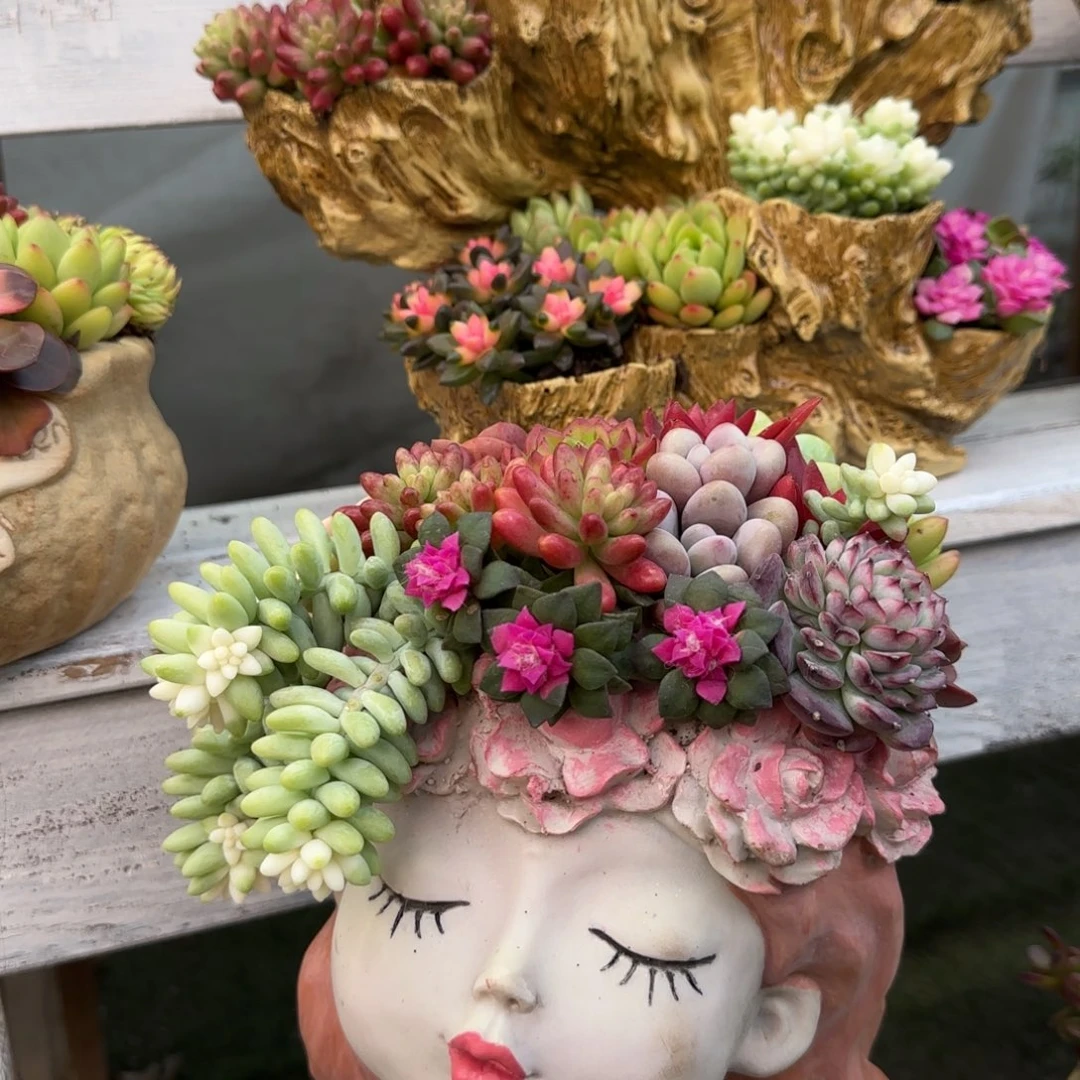 这个是真的很好看