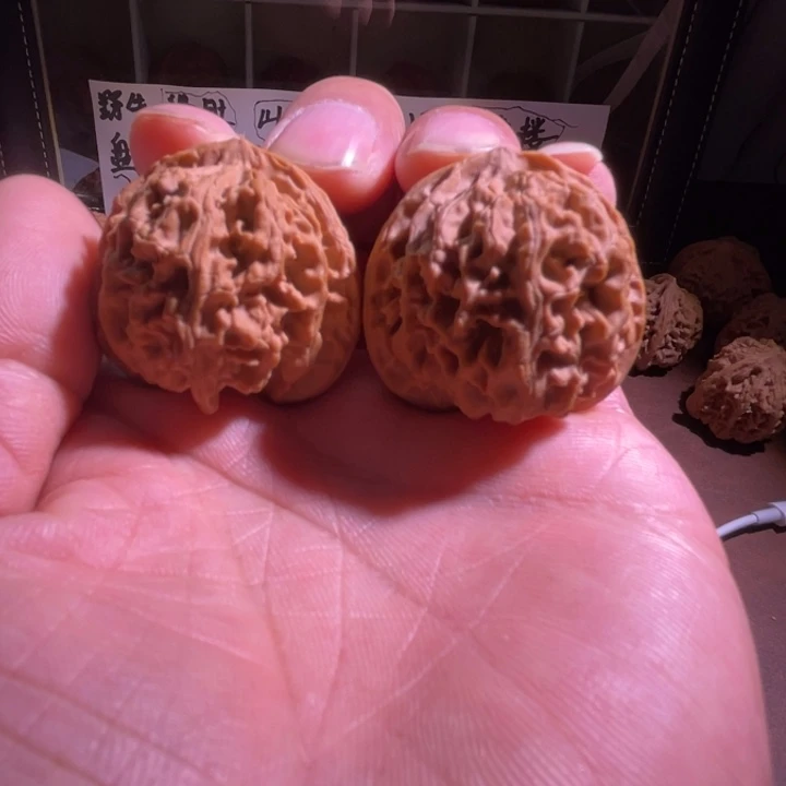 文玩核桃把件山地苹果39