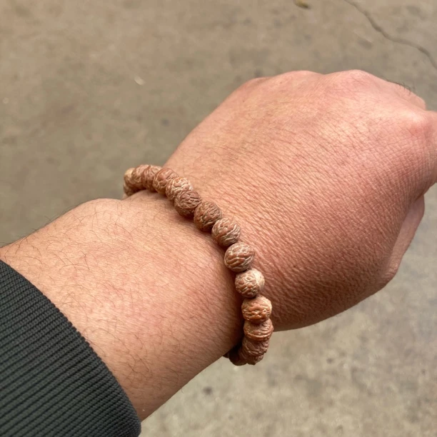 18号凤眼酸枣核手串8毫米原核无修