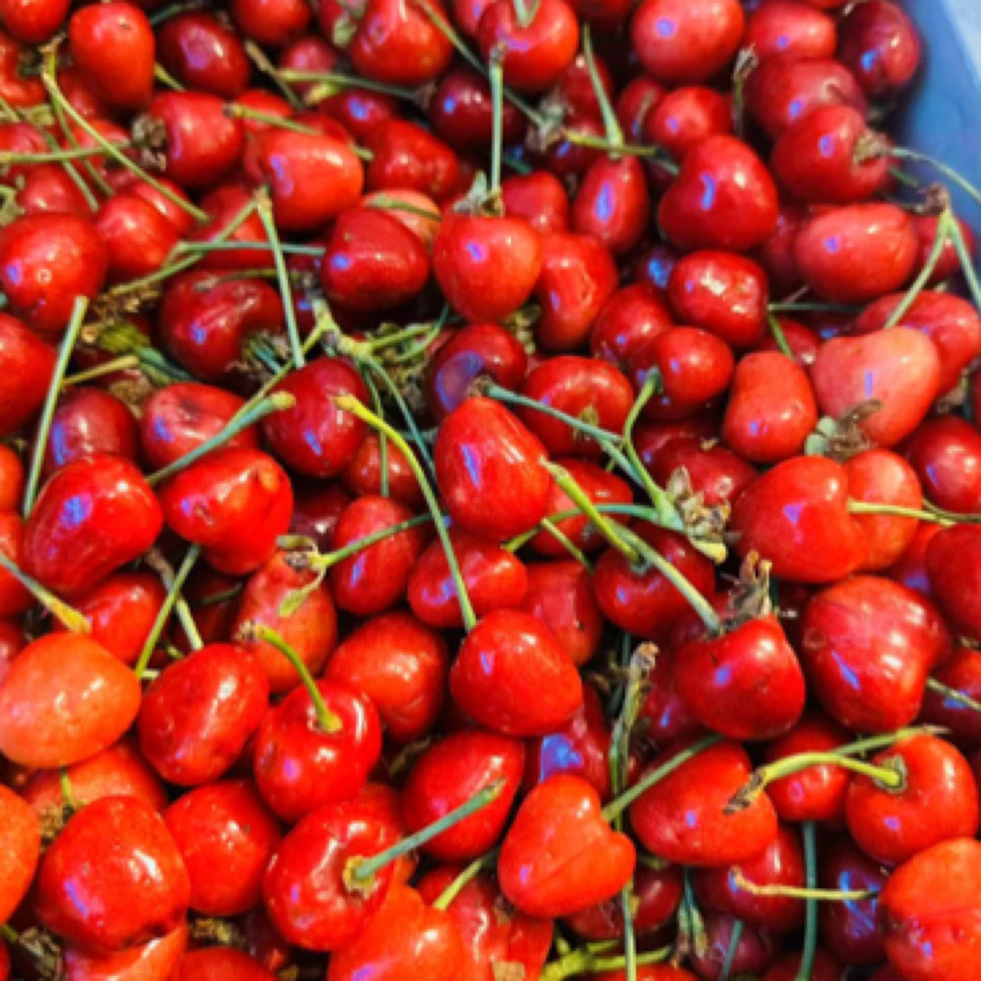 【脆甜】新鲜樱桃约500g/份2J其他品种