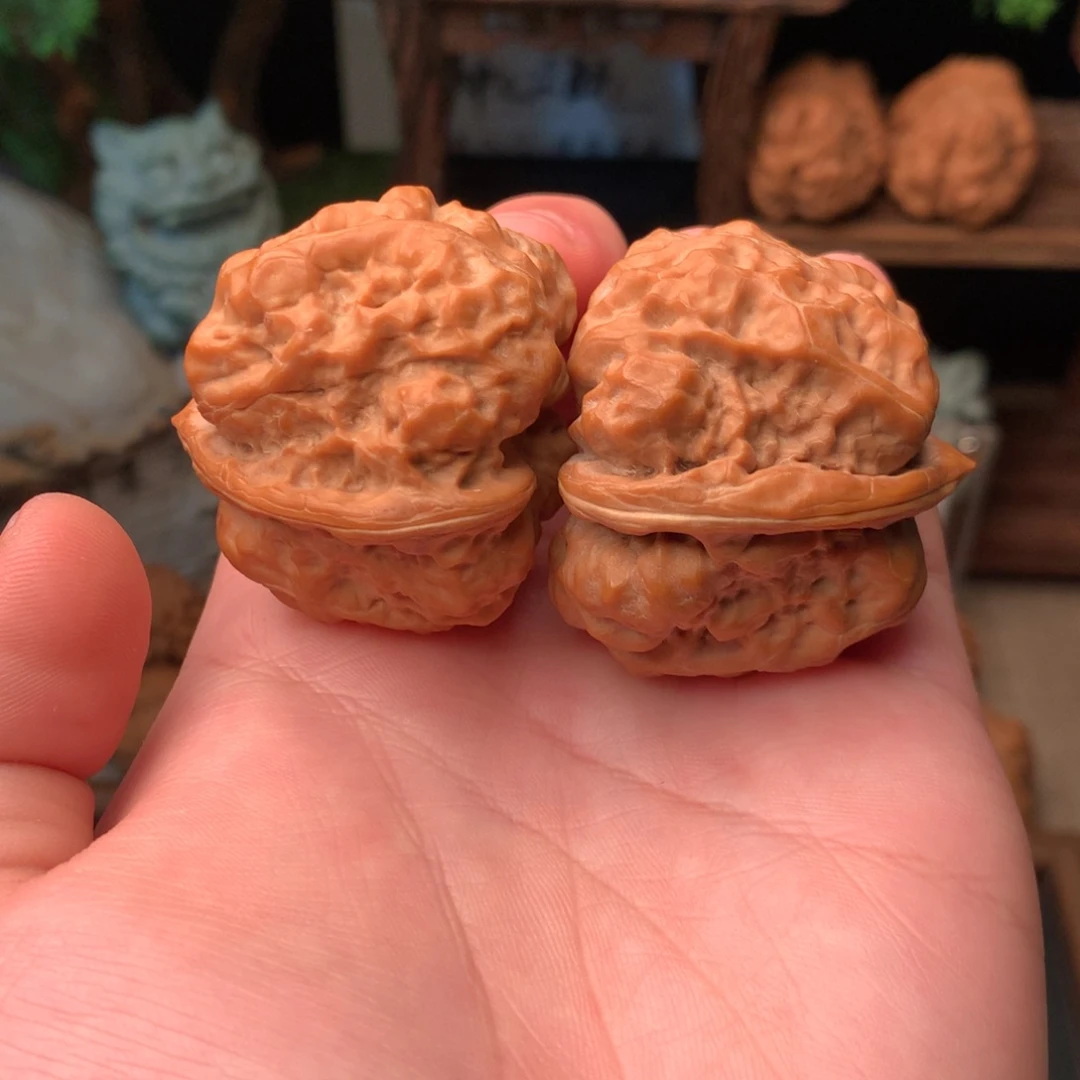 核桃42尺寸毕业级三角肌肉蛙