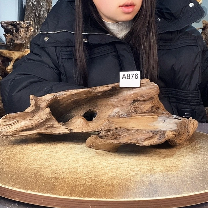 茶盏笑****湖876株木的随行的根艺