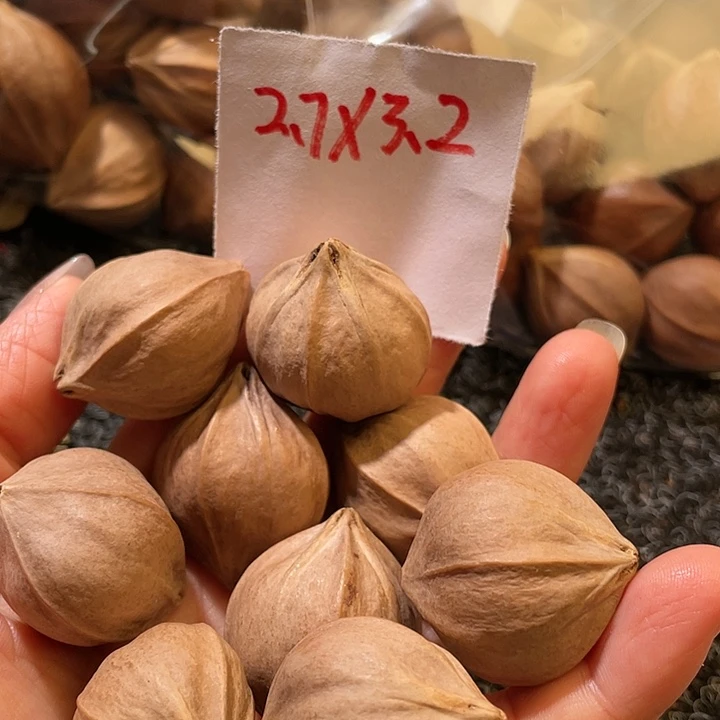 若***需橄榄核吊坠2.7✖️3.2