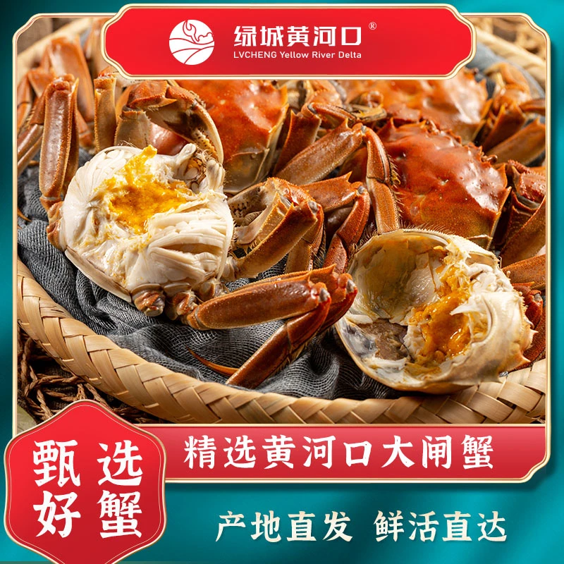 【活蟹】绿城黄河口大闸蟹2.7-3.0两母蟹 8-10只装
