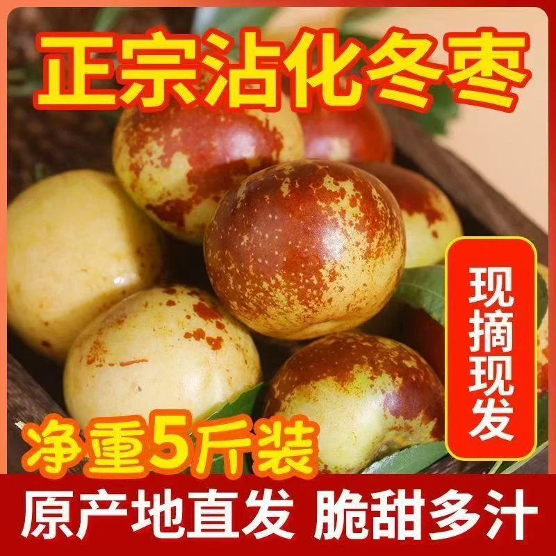 【主播专属】5斤沾化冬枣皮薄肉厚香脆爽口甘甜细腻新鲜当季水果