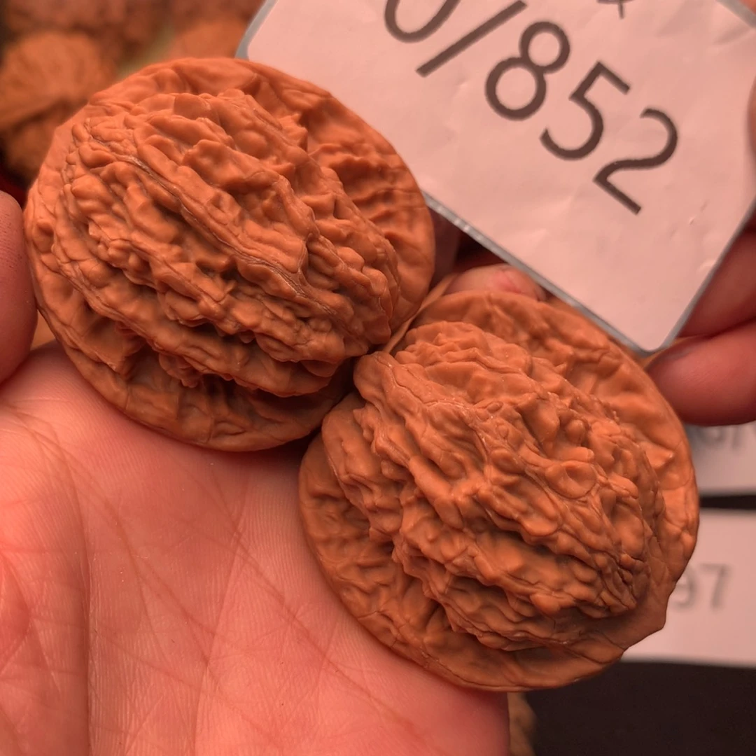 文玩核桃把件42经费麦虎