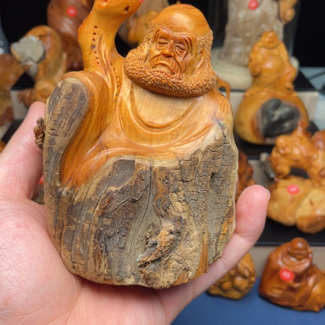 柏木255566556666666
