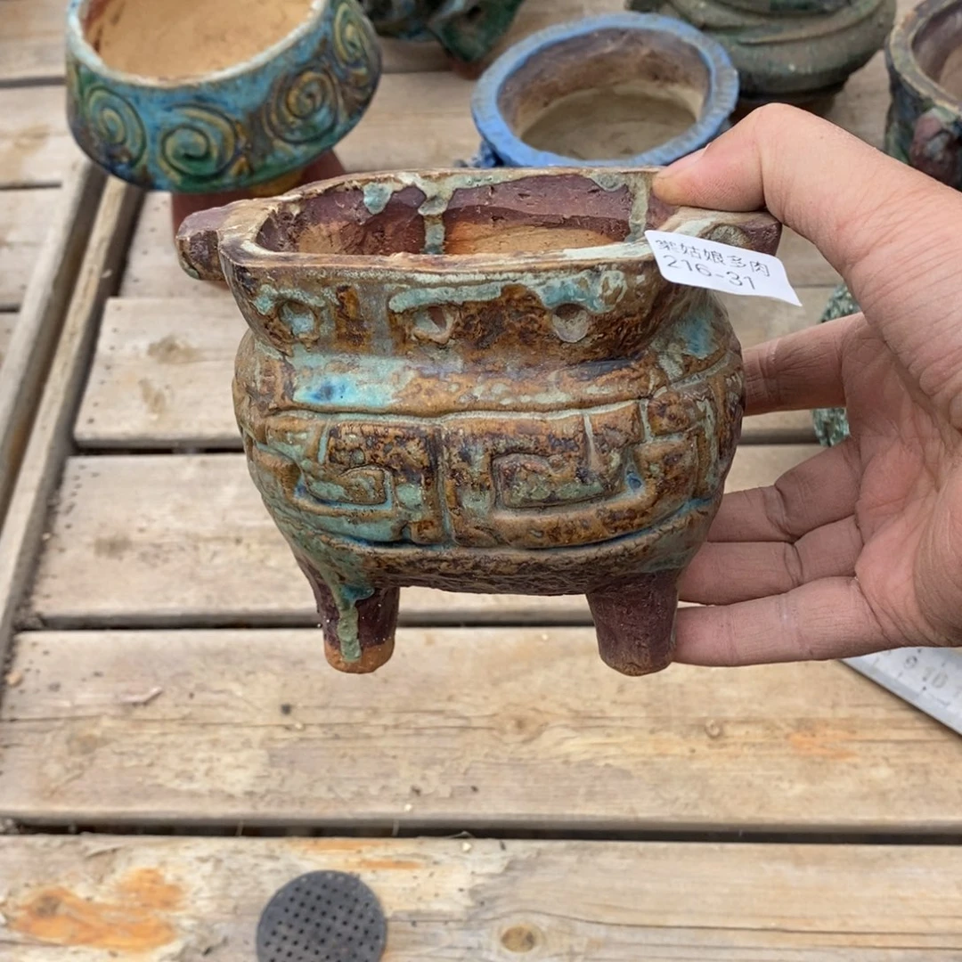 红陶嫣*31号多肉盆一个呀