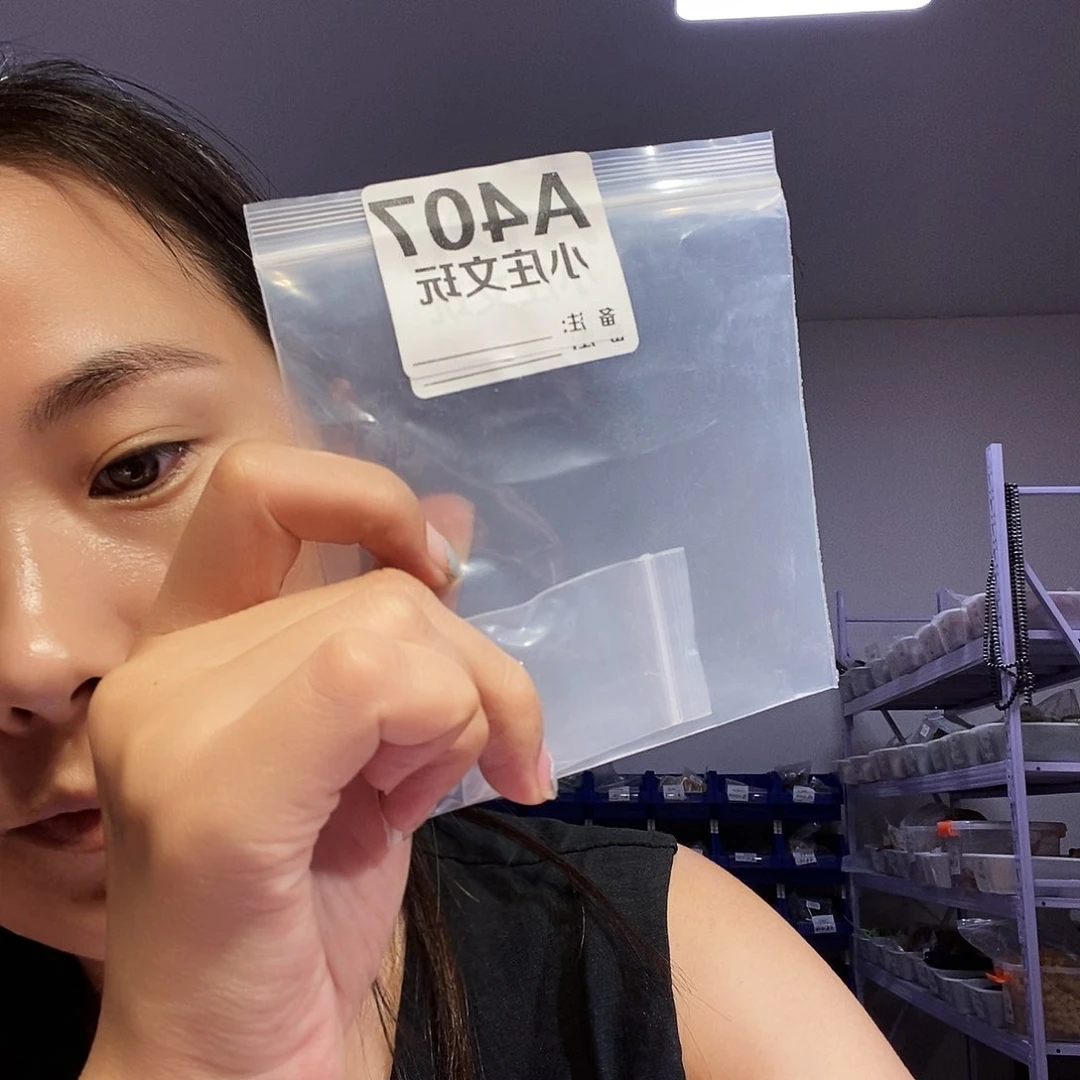 【闪购商品】黑檀木407