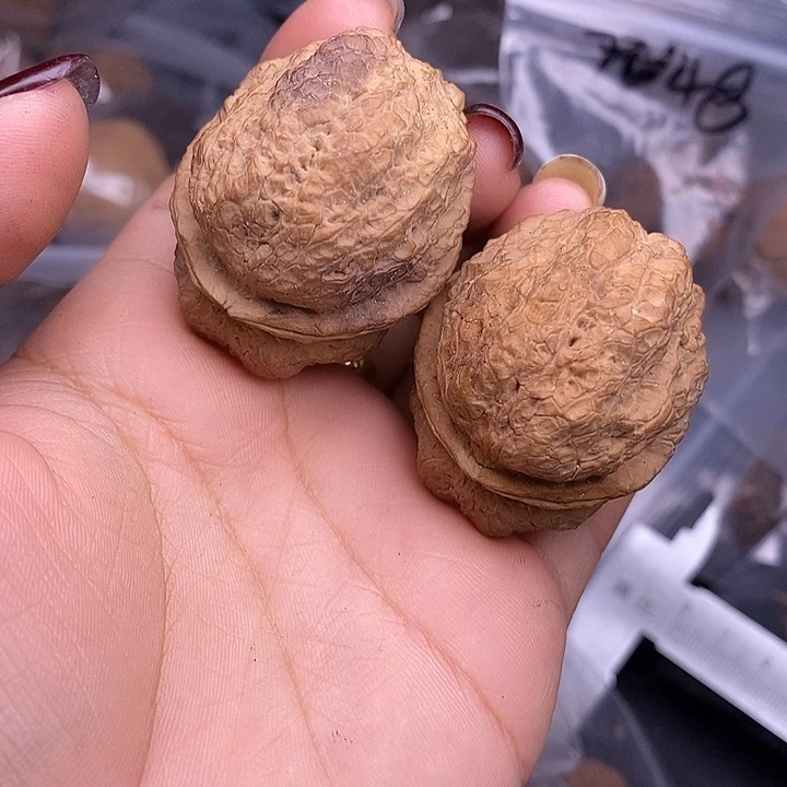 文玩核桃吊坠     50