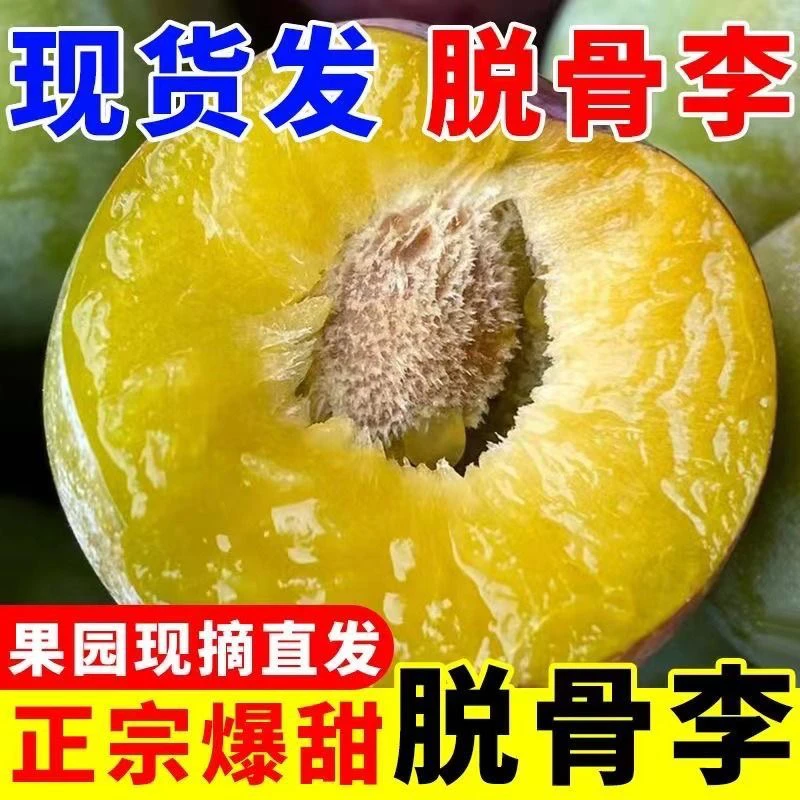 四川冰糖脱骨李子空心半边青红李青脆蜂糖贵州蜂糖李水果当季热卖
