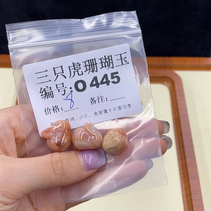 硅化珊瑚（珊瑚玉）未镶嵌o360糖**儿