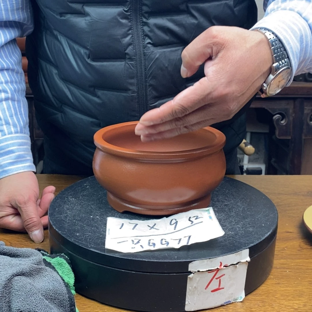 红陶货号一只GG77