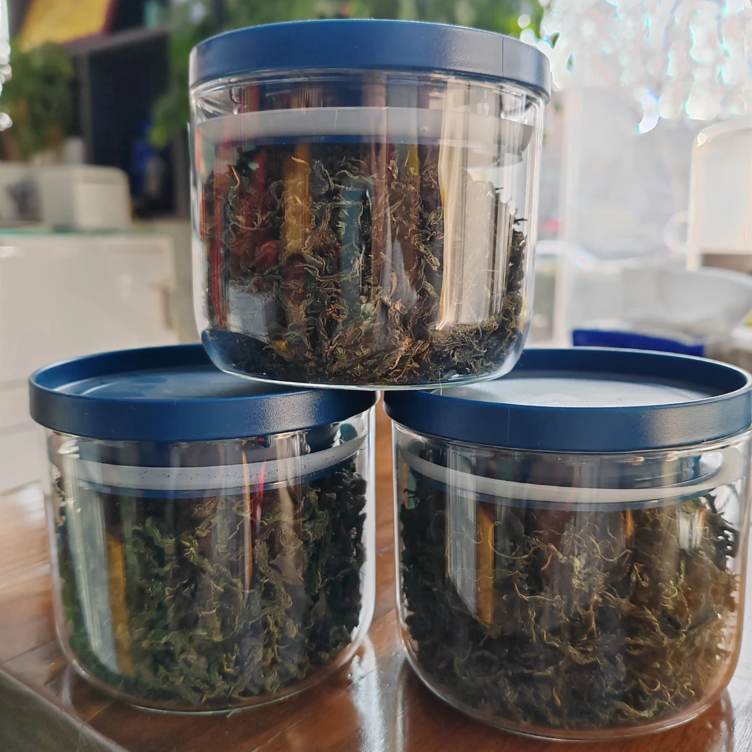 鹤壁笨老大冬凌草精选冬凌草叶